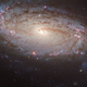 Illustration for article titled Hubble catches a star exploding 80 million light-years away